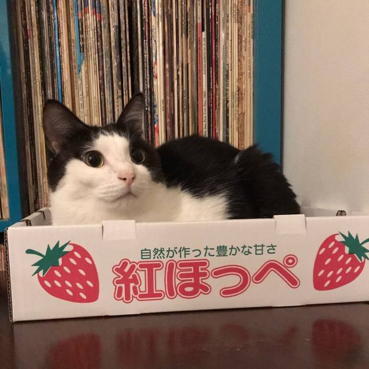 6cb14f21 344f 4517 a34b 3c307734e0c6 1558225854797