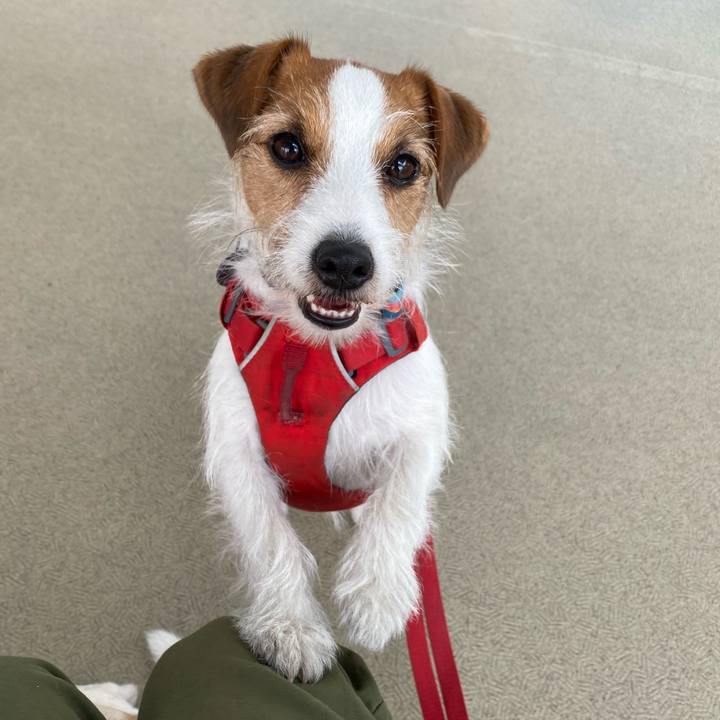 6cb19db7 ae52 47a6 9919 56c29b97c545 1683346395680