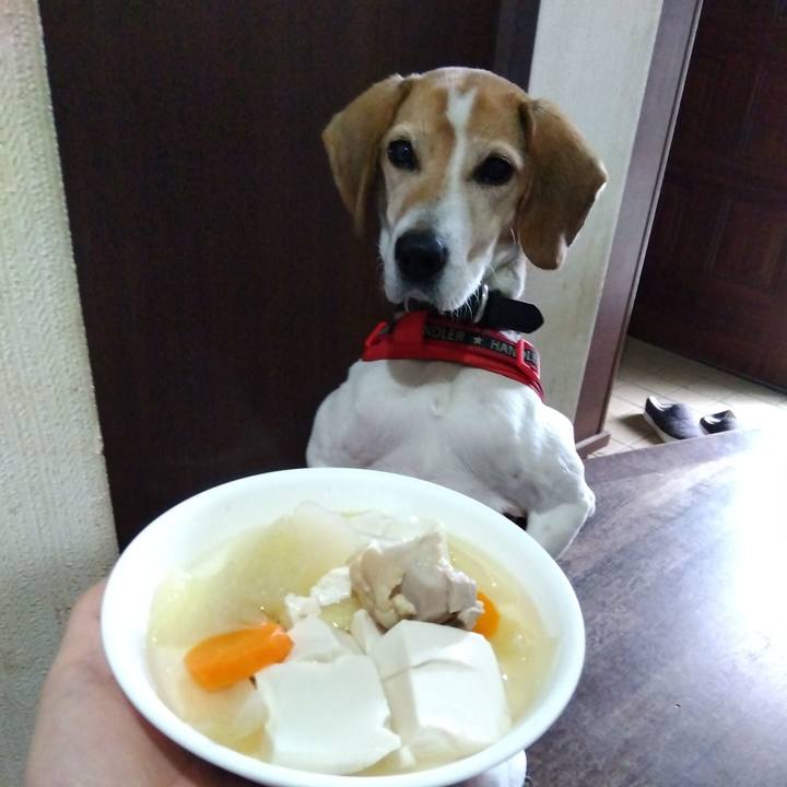 6cb1d0eb b839 434e ae89 b66d56814069 1708181739720