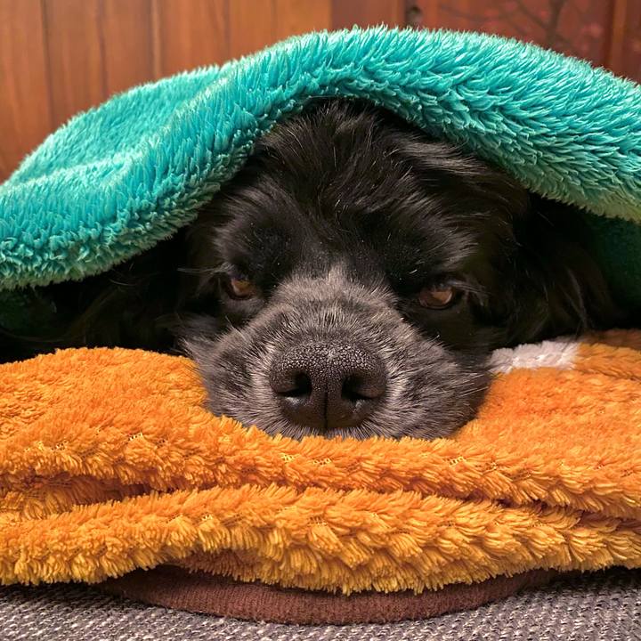 6cb1f20b 4b46 4aec 9c57 a570d06c09d3 1668314505942