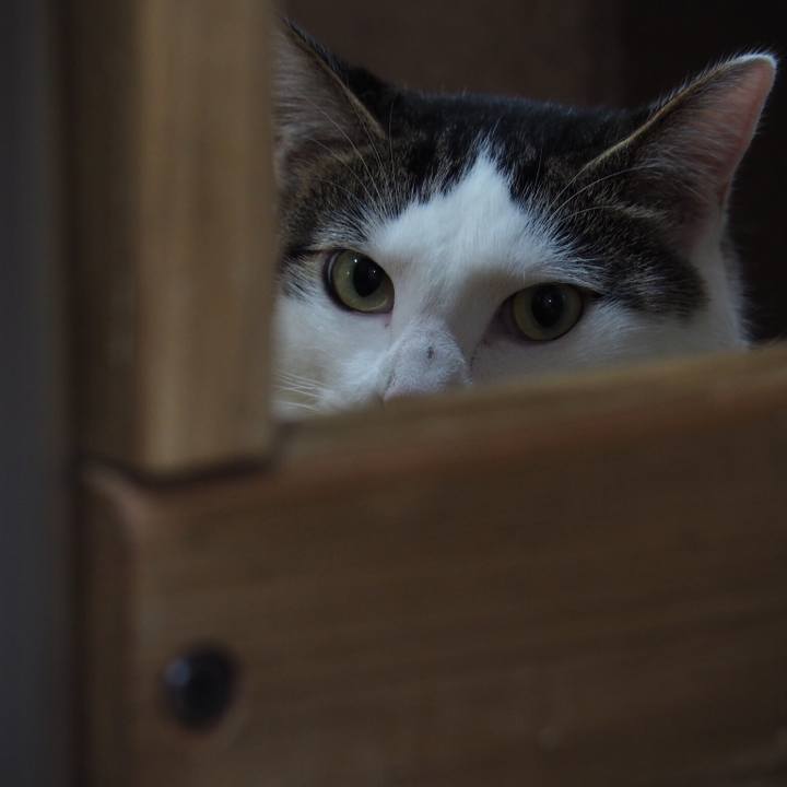 6cb22ef5 bcf8 4cfb ba41 2d3811c31f35 1532183553814