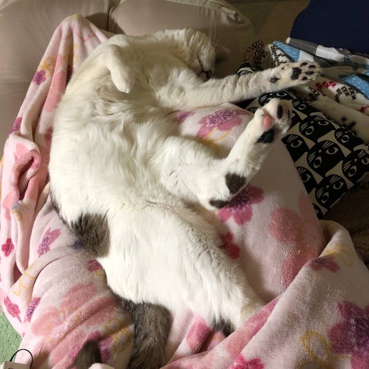 6cb27b23 9f38 41ca 826b 27b7f822bad2 1581163882091