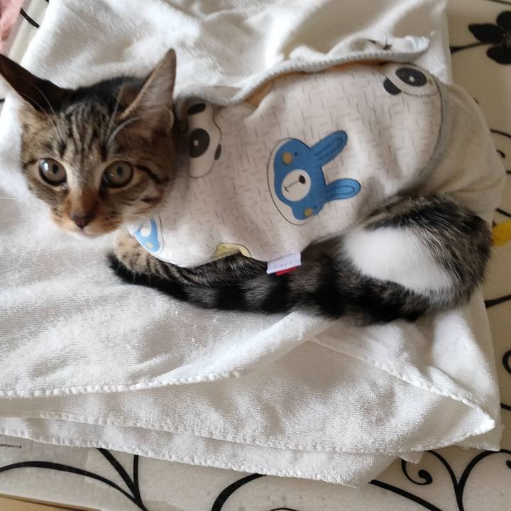 6cb2ae89 cdb9 4497 ac78 c03bf1760cf6 1634258872687