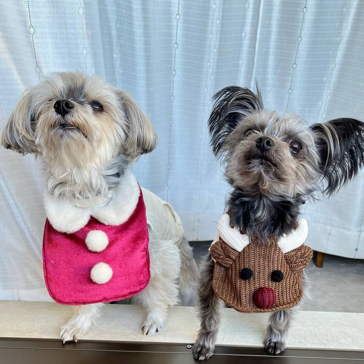 6cb318f3 0c69 45b8 8f20 bc9aaa15fb79 1766209755880