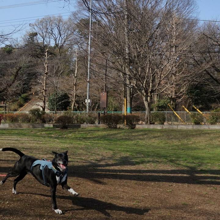 6cb32825 4fdf 47a6 8f65 7fa65e6c7f30 1710550291743