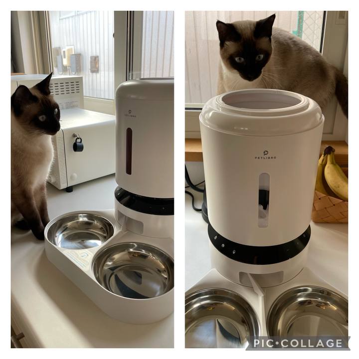 6cb3a34e 35ff 4dc8 9354 6fbf1fb5f0dd 1715493118974