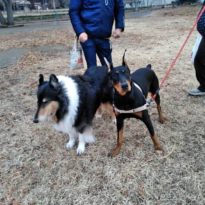 6cb3b963 4e0e 4560 995a 649c1587623f 1551355131049