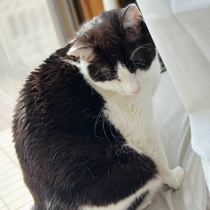 6cb3ba8d 1e83 47ae a04d 80401c28f855 1682644777832