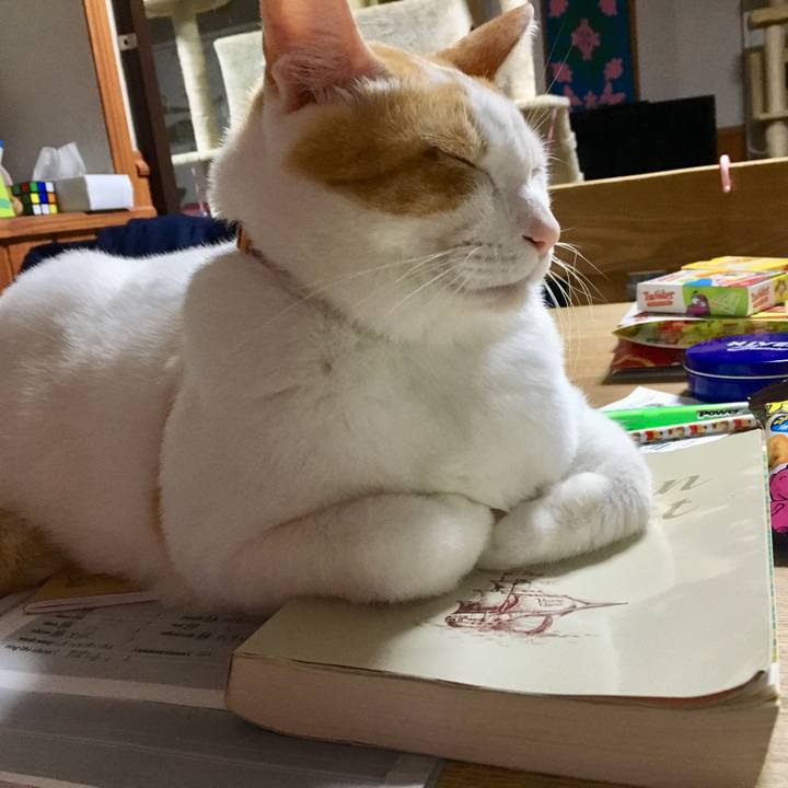 6cb3c2de a4a4 482f b6e9 e5d4e6775957 1511017751562