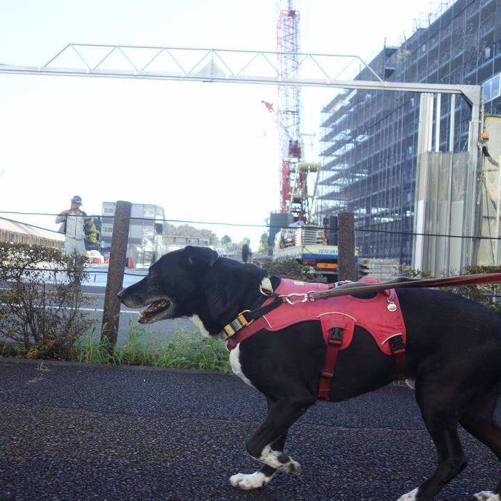 6cb3ec64 3286 4a2d b1a4 e09c9281174b 1697419162230