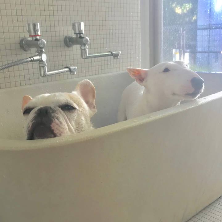 6cb3f1c7 15b9 46fe a009 5f504a3967ec 1541926772263