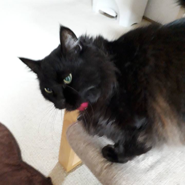 6cb40eca 1280 4d64 afbd f6ca3fff1ac7 1517001071789