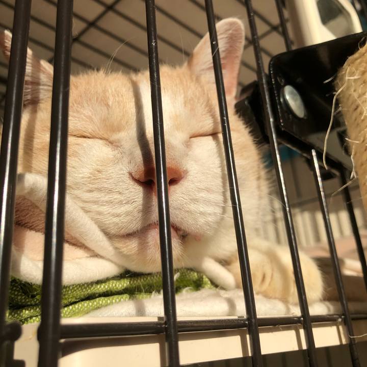 6cb433a3 4719 4c6d 9ecf 3c7c05f3d848 1603235862946