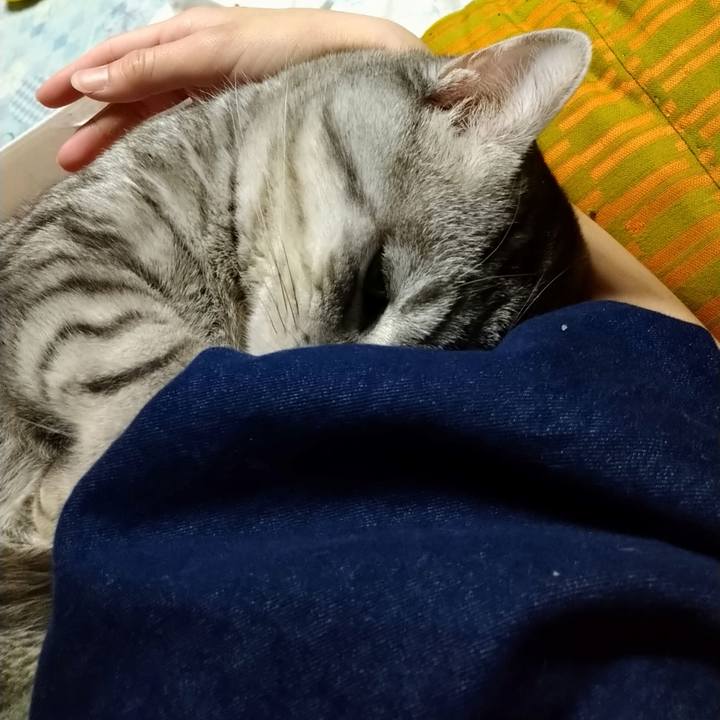 6cb4354e 21f8 4d00 96b8 dbaeb1caf5cd 1678454199004