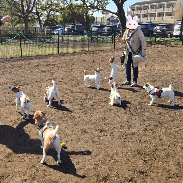 6cb446fb 42e2 4d94 bd8a c1ecfc1ecbcd 1772887155024