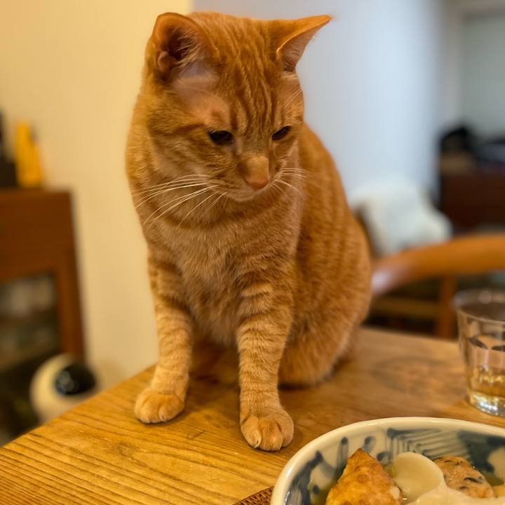 6cb44add 2b75 49df 905b 8380a012c7a2 1705659360248