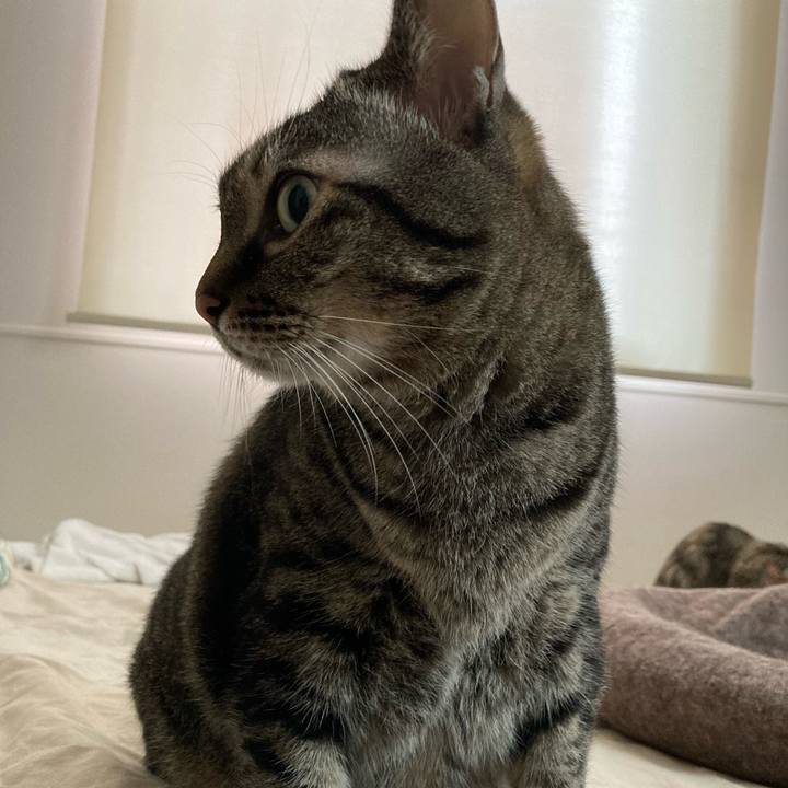 6cb47459 0aff 4c9d b82e 9ad11f676f6d 1696559597712