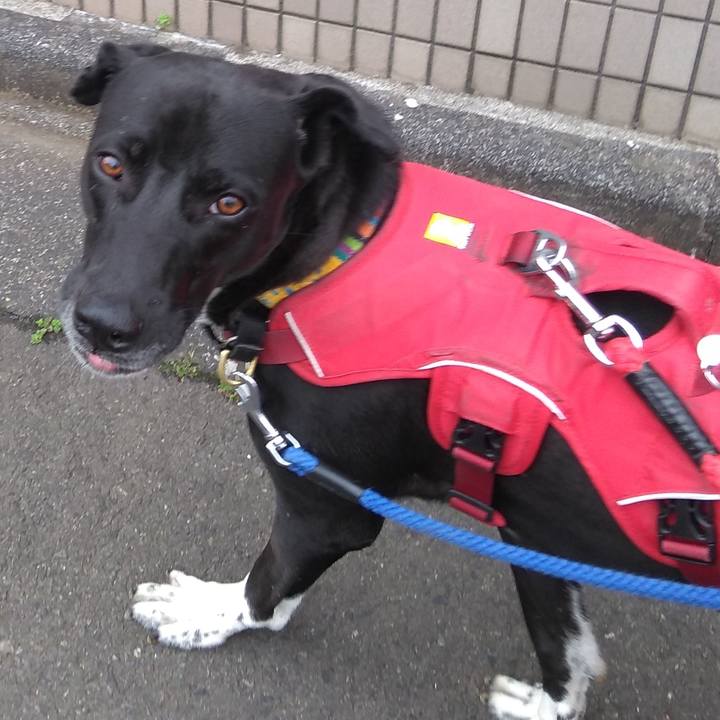 6cb4971e cae1 40ef a13c 382ea9f39b5a 1588726629927