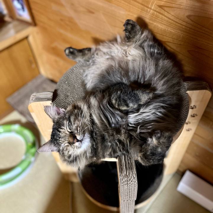 6cb5409c f231 4de6 9136 704f96d01351 1687345392608