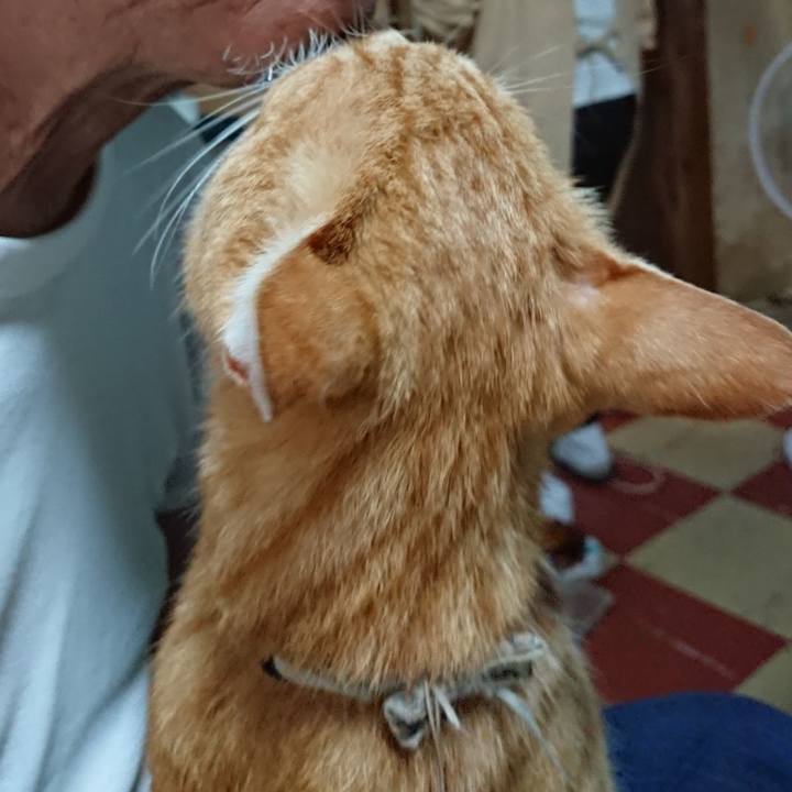 6cb54fb3 09b1 4c4c 8920 e4f3dc47402b 1594331383922