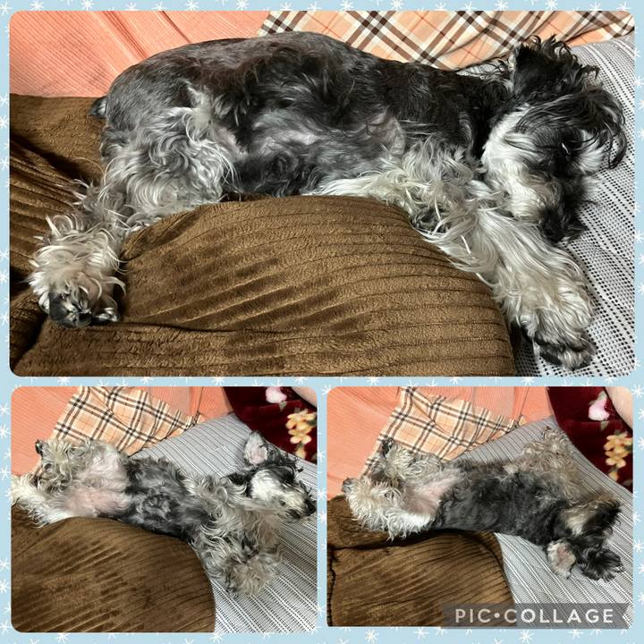 6cb55512 0fb5 4712 bb73 ef3d86cd2a47 1744986152715