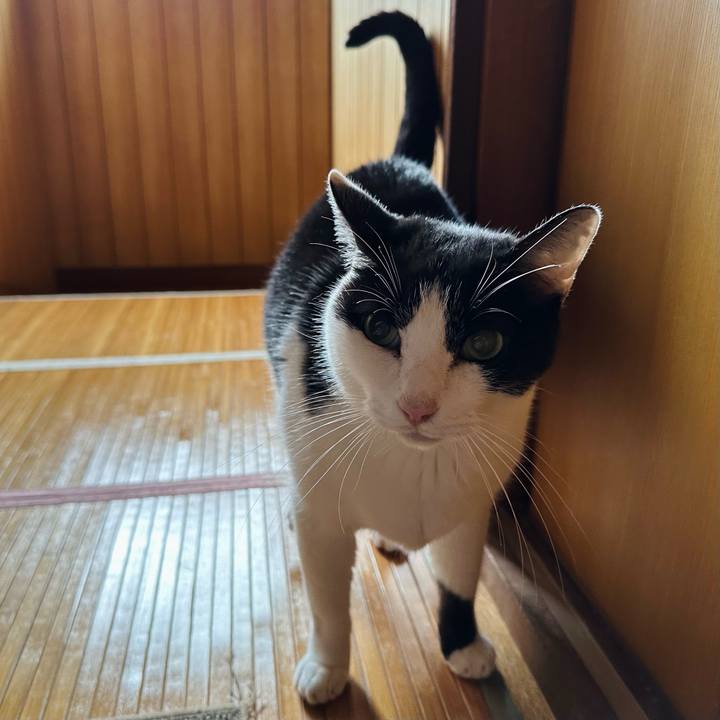 6cb5749f 3089 4273 9928 fd7a38b3e210 1702606108972