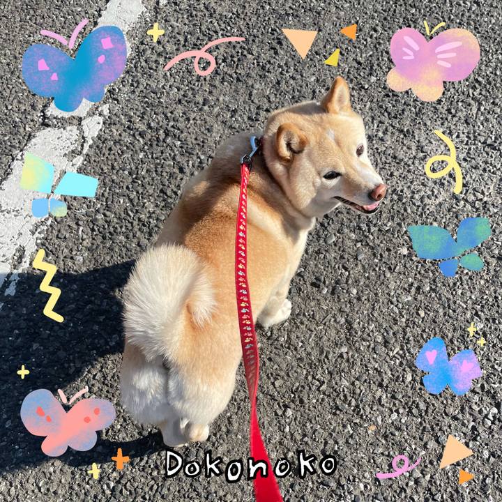 6cb5c1bf 59c8 4233 b2d4 738d0921abc5 1711112389110