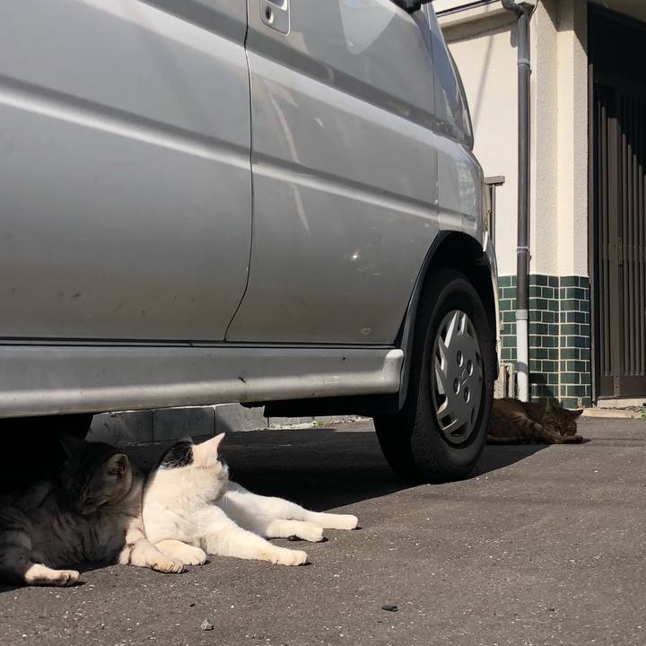 6cb5c326 5a98 41f5 ae1f ab433d3f0102 1584027576083