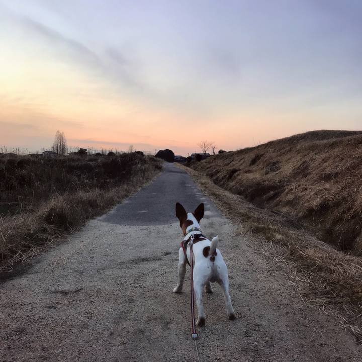 6cb5c894 e82b 461d bd64 91879282e3da 1518608507231