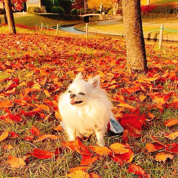 6cb5e2d2 d5a2 4e3c b199 502783c167c6 1763382647355