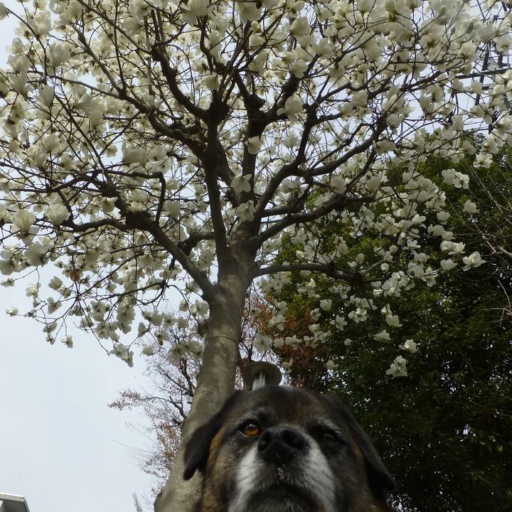 6cb6071e cfac 4a1e afde 65a694b9b7e8 1579605124000