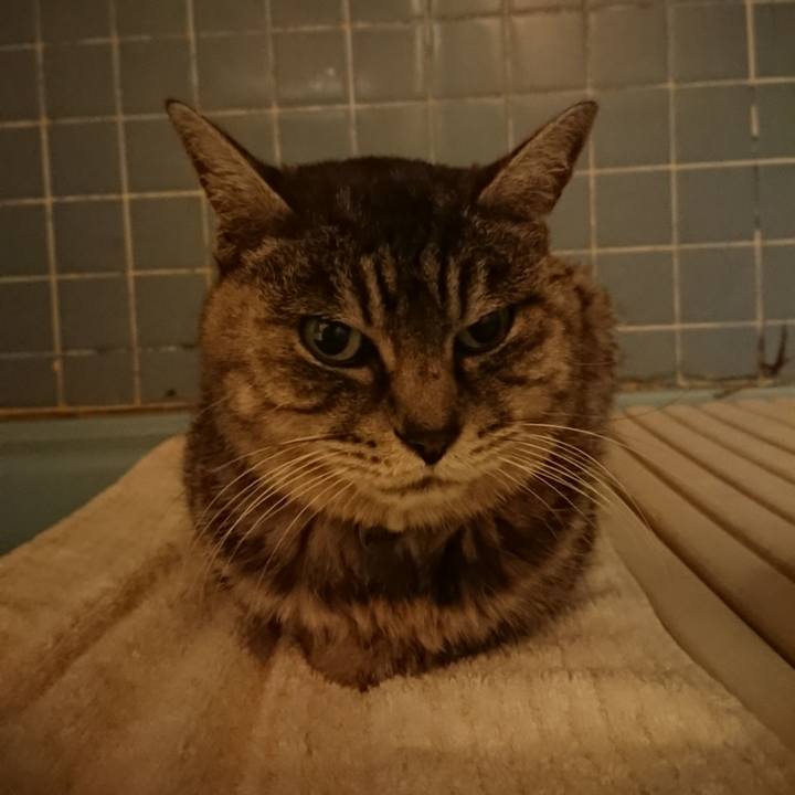 6cb65793 618a 4f9a 8d98 46d20dc177d0 1576926346103