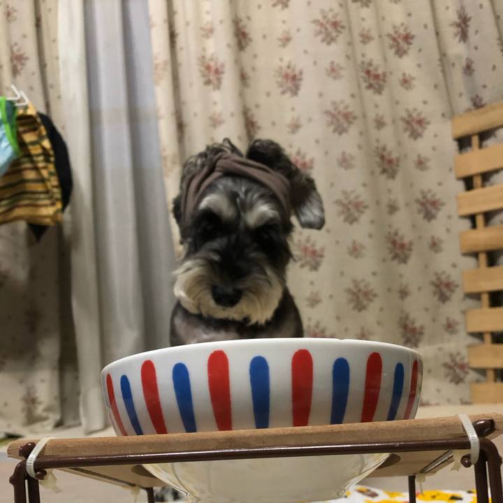 6cb66f7a 3973 4653 afd5 b4e8beb2f693 1661511340813