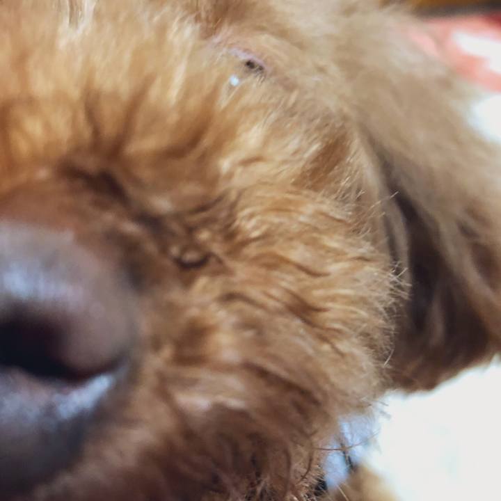 6cb670ce 8524 45a2 9302 3ad04097e8a0 1550662761498