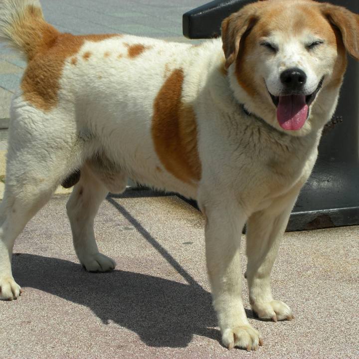 6cb6786e db8a 4621 8c75 fbe5f73f0d1f 1513648537184