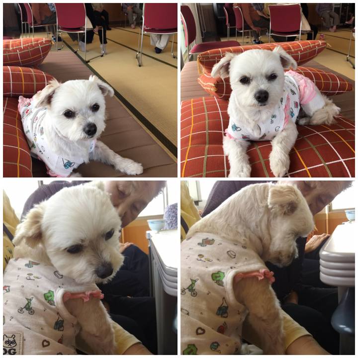 6cb68093 775b 418d abf2 55f771348013 1555912054087