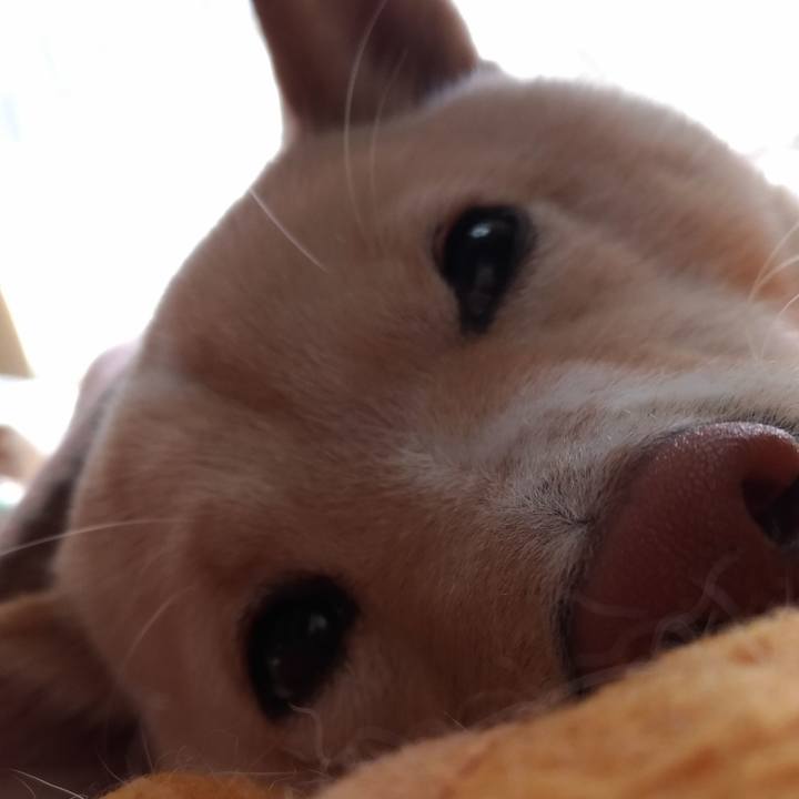 6cb6a918 be35 486f 9530 62875dad96da 1549076766811