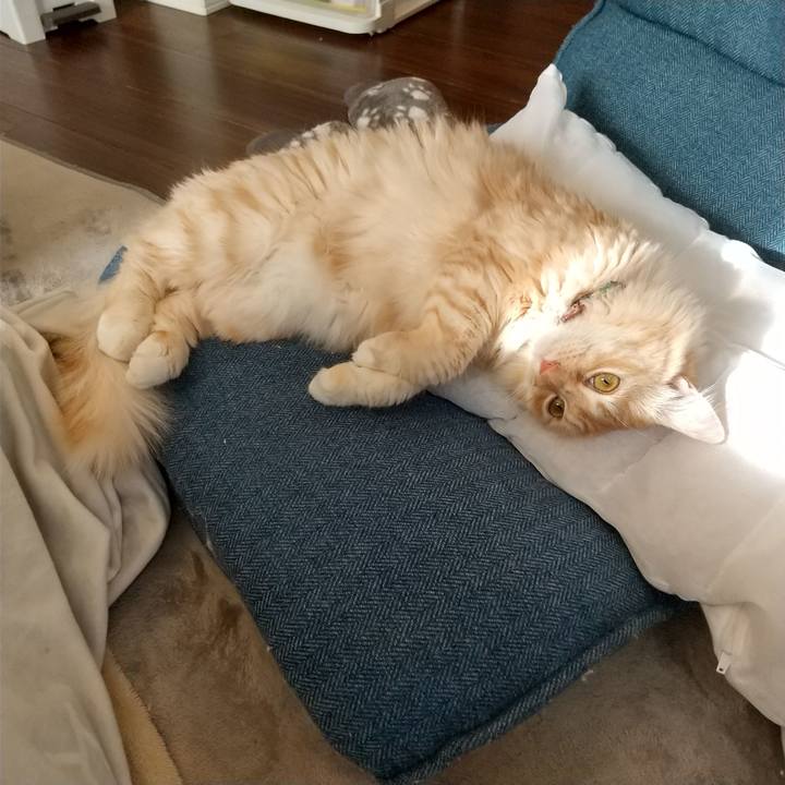 6cb6badc 62f9 420c 86fa a27d4a44fdc9 1643011373953