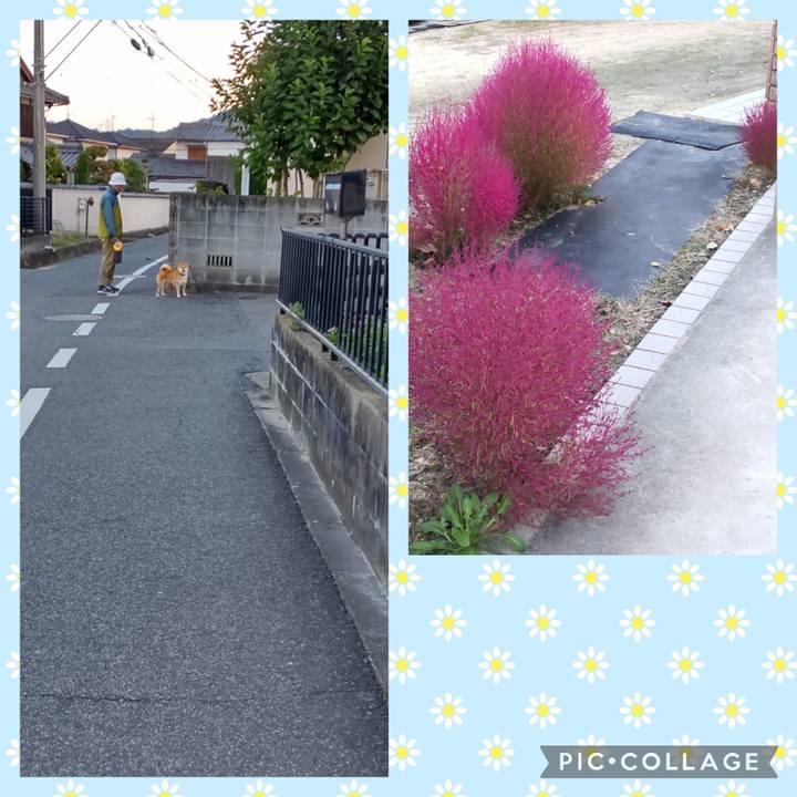 6cb6bd83 e7bb 4858 a407 1dfed9255ce8 1730967144338