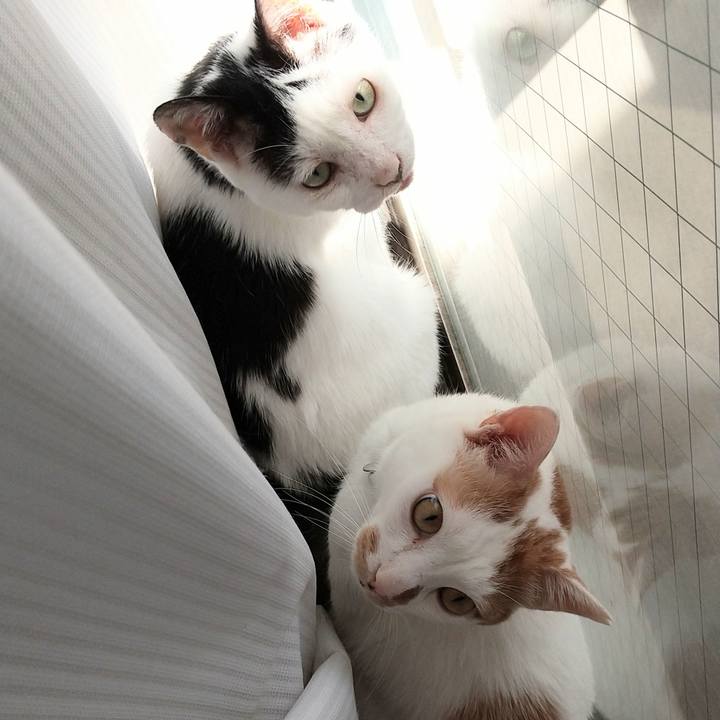 6cb717ec 62b9 4989 bfdf 3f026a45bfd6 1723876013954