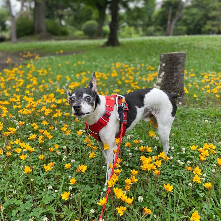 6cb71b34 363c 4124 a8b0 e804bcc9a266 1625359576317