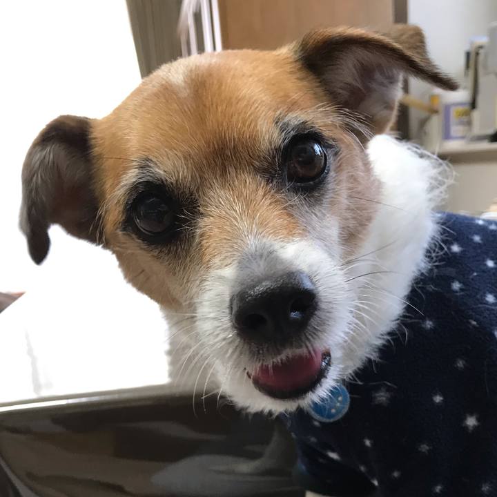 6cb73ca8 84ed 4c19 8877 de560cbea4b4 1554415224112