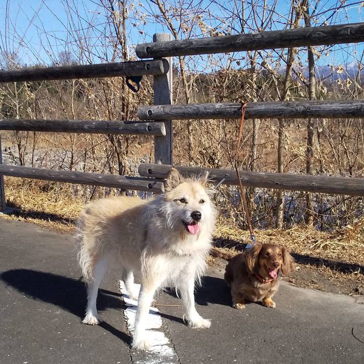 6cb73fb1 1d6d 4a00 9272 5a323abfe953 1546573844627