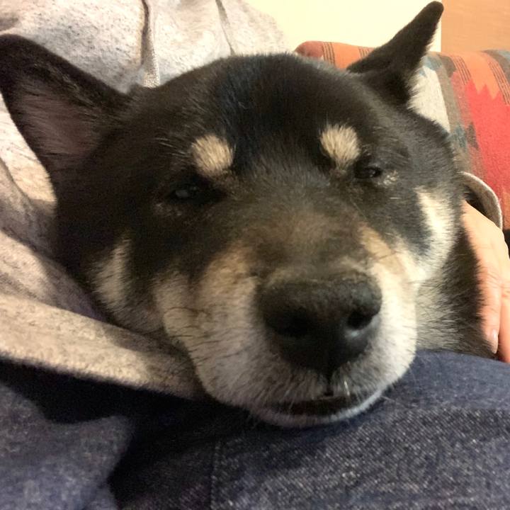 6cb7a2d8 831c 49ca 9d6e 386d96e31ccc 1581700057351