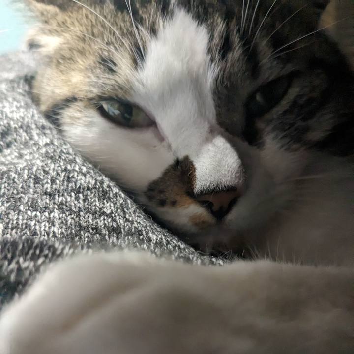 6cb7ac95 5791 449d 86c9 e376041a32bd 1710910910519