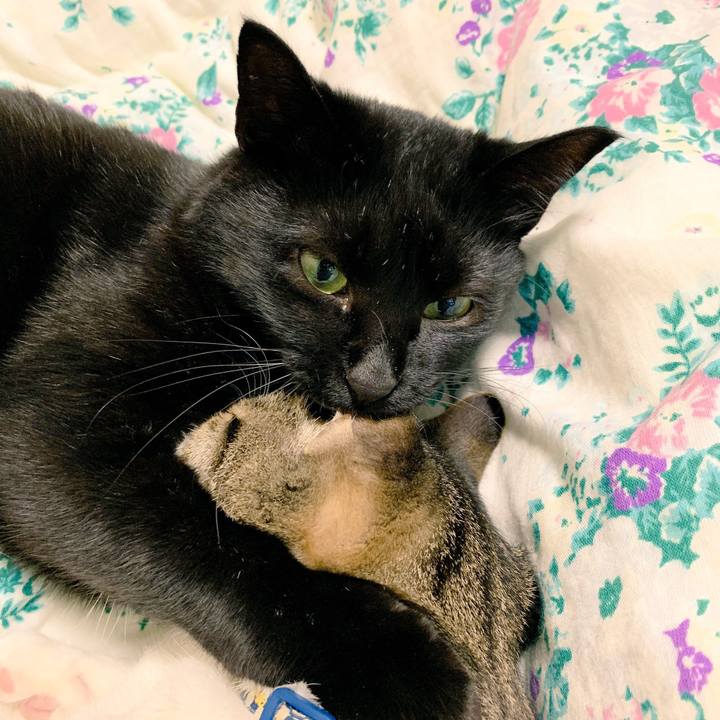 6cb7bce3 b7b3 4392 a459 d8c6ccd9f081 1544094868536