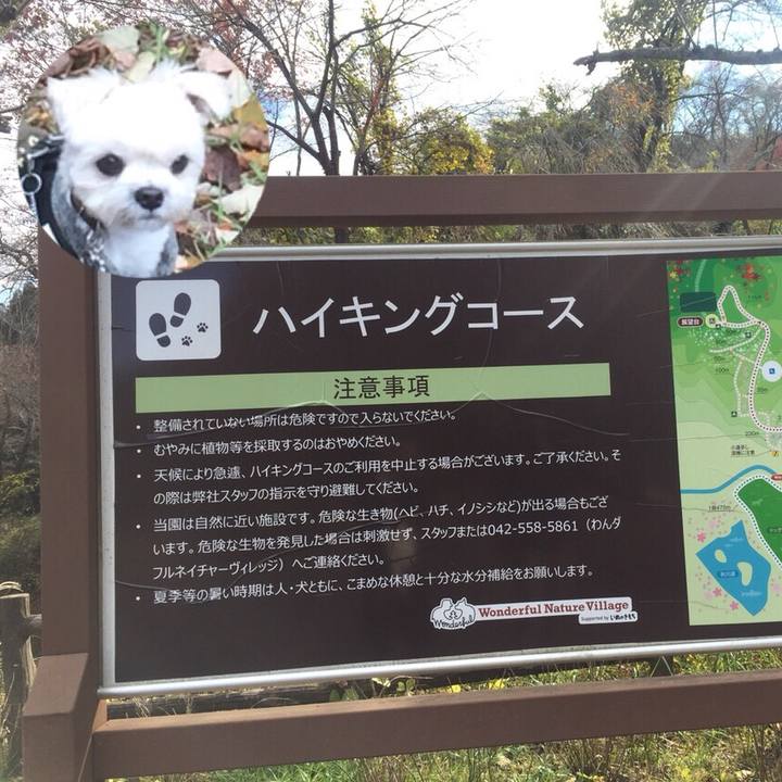 6cb7dc16 4f50 4214 b334 6af1641d71da 1511177189488