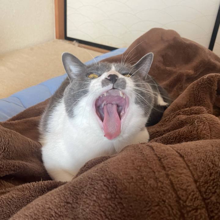 6cb7dfce d659 4190 a069 89922fa5fbbc 1634773157976