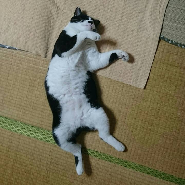 6cb81415 4b04 4e80 b4bf 79c557e25dd6 1510498427058