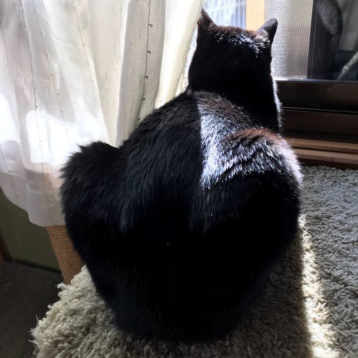 6cb817bf 5d4c 4f03 b925 c4adc5df2dbd 1514418485599